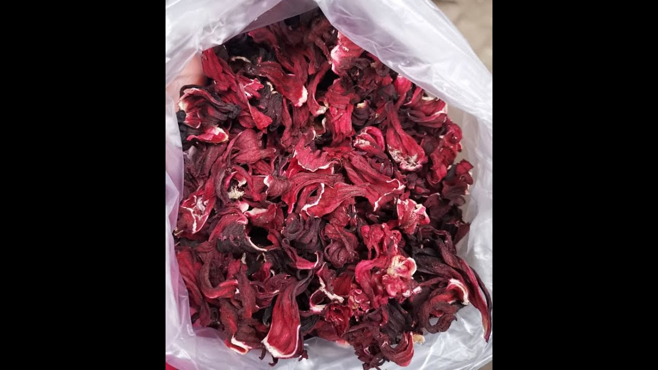 How to make Hibiscus Tea from dried Roselle?