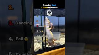 Ranking Best Lizard Moments #germany