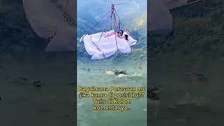 #viral #shortvideo #shorts