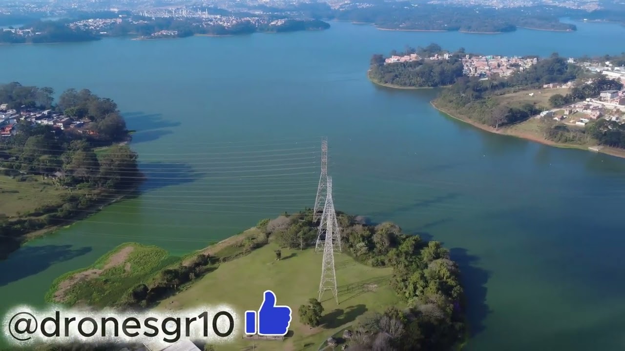 ponte graúna gaivotas.