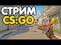 Путь до 10 уровня фейсит. Играем со зрителями. Розыгрыши. Стрим CSGO