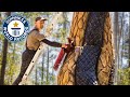 Building The Tallest Wooden Sculpture - Guinness World Records