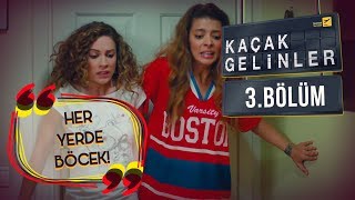 Kaçak Gelinler 3.Bölüm - Kızların Korkulu Rüyası