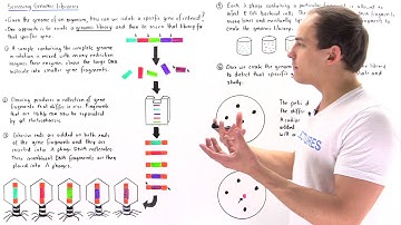Building and Screening Genomic Libraries