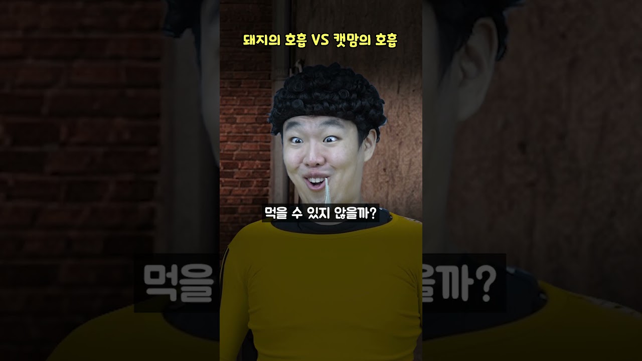 돼지의 호흡 VS 캣맘의 호흡