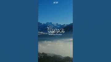 استغفر الله العظيم واتوب اليه. القارئ #علي_جابر ،سورة فاطر. #القرآن #القرآن_الكريم #quran