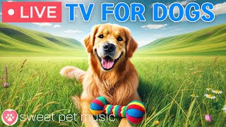 Live Stream Image