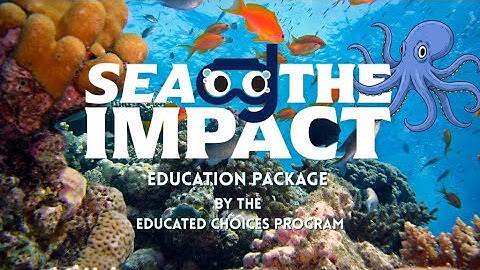 Sea the Impact: ECP Kickstarter Campaign