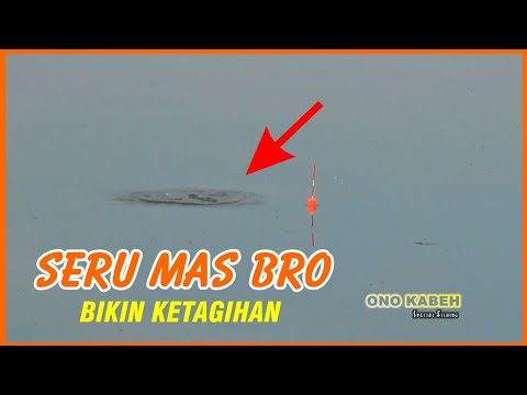 mancing-nila---seru-mas-bro