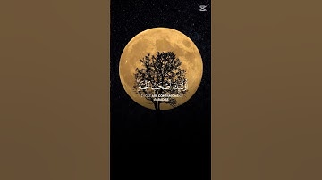 قران الكريم راحه نفسيه عبد الرحمن مسعد #لايك #اكسبلور #المصحف #الرحمن #راحة_نفسية #يصلك #دويتو