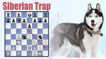 Siberian Trap (Chess Traps)