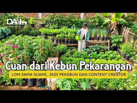 PUAS PANEN SAYUR GRATIS DARI PEKARANGAN RUMAH