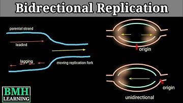 Bidirectional Replication | Unidirectional Replication |