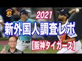 【阪神タイガース】新外国人調査レポート2021 ラウル・アルカンタラ/ダン・ストレイリー/ドリュー・ルチンスキー