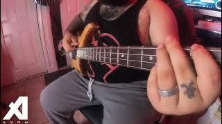 Turnstile - New Heart Design - Bass Cover