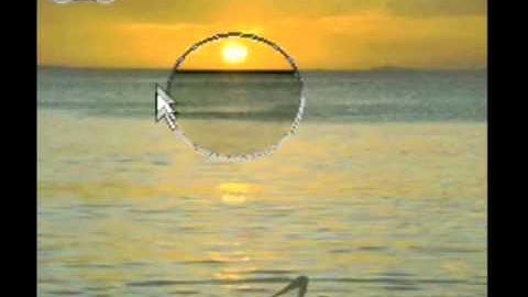 Polarized Light and Its Use In LCD Displays