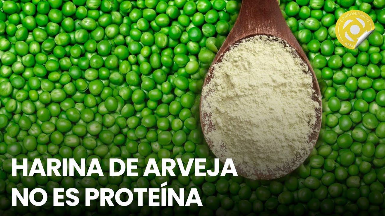 Harina y proteína de arveja - Conferencia #13 - Contra las enfermedades