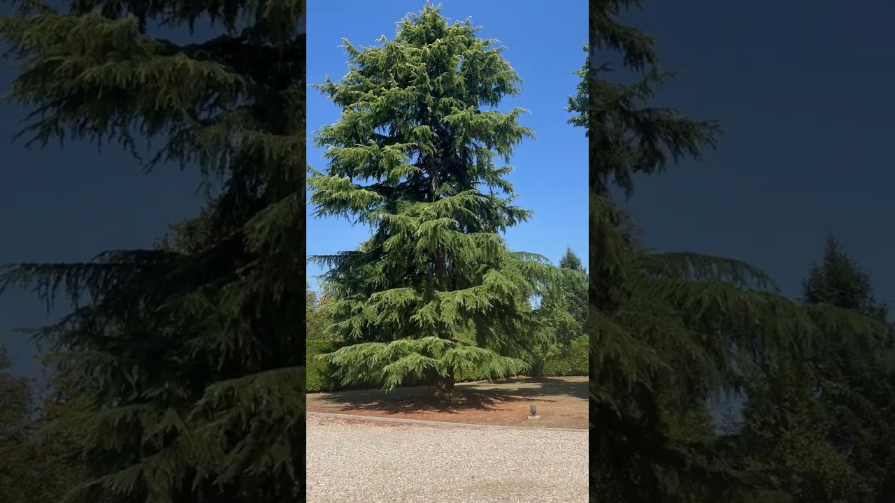 Vidéo Vente maison 215&nbsp;m² Bémécourt (27160)