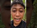 Mantap dispot ini sambaran ikanya brutal banget