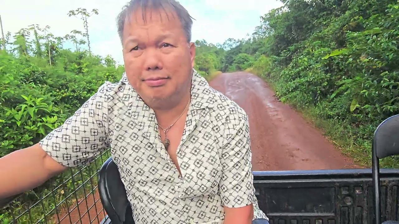 Hmoob cacao  txoj kev mus ua teb