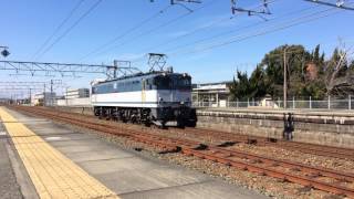 EF65 2086号機(単9088レ) 舞阪駅通過