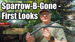 Sparrow-B-Gone - First Look and Review