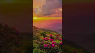 Download Lagu Who I am by Alan Walker # peder Elias #Putri Ariani # viral shorts MP3