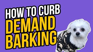 HOW TO CURB DEMAND BARKING by Kaelin Munkelwitz 5,376 views 3 years ago 8 minutes, 35 seconds