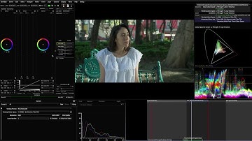 Truelight Colour Spaces  Improvements in Baselight 5 0