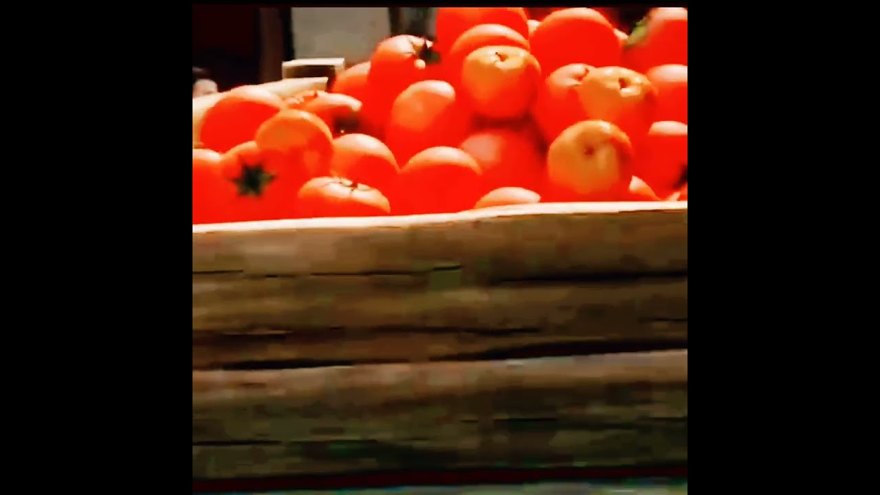 Allahyaar movie |Animation cartoon |