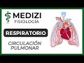 Clase 38 Fisiología Respiratoria - Circulación Pulmonar (Edema Pulmonar)