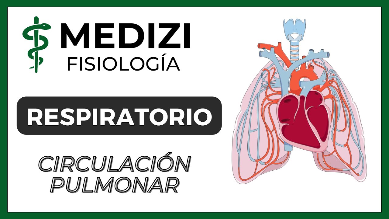La presión arterial en la circulación pulmonar y los capilares es