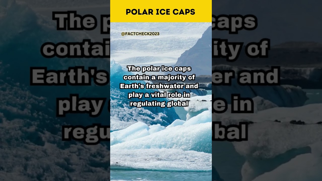 Melting Glaciers: Uncovering the Truth About Polar Ice Caps