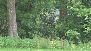 Carter Co. woman facing first-degree murder charge in child's death