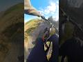 How good is this trail #mtb #shorts