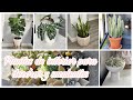 PLANTAS DE INTERIOR PARA DECORAR + NOMBRES Y CUIDADOS /2021 INDOOR PLANTS @Reve Nenuki