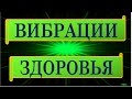 Как Настроиться На Вибрации Здоровья?