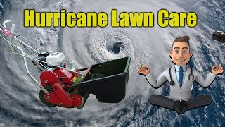 Hurricane Dorian Prep and Lawn Care