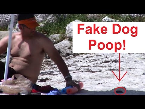 dog-poop-on-the-beach---prank!