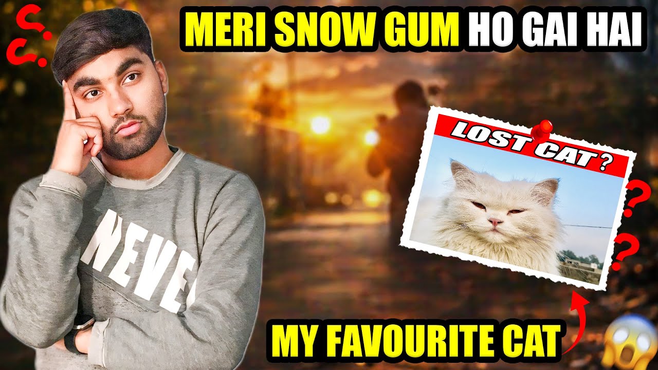 Lost Cat ALERT! Meri Snow Gum Ho Gai Hai