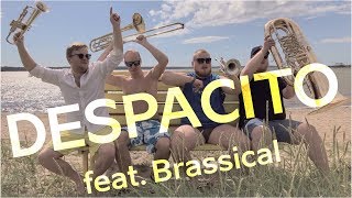 Brassical - Despacito (Luis Fonsi Cover) chords