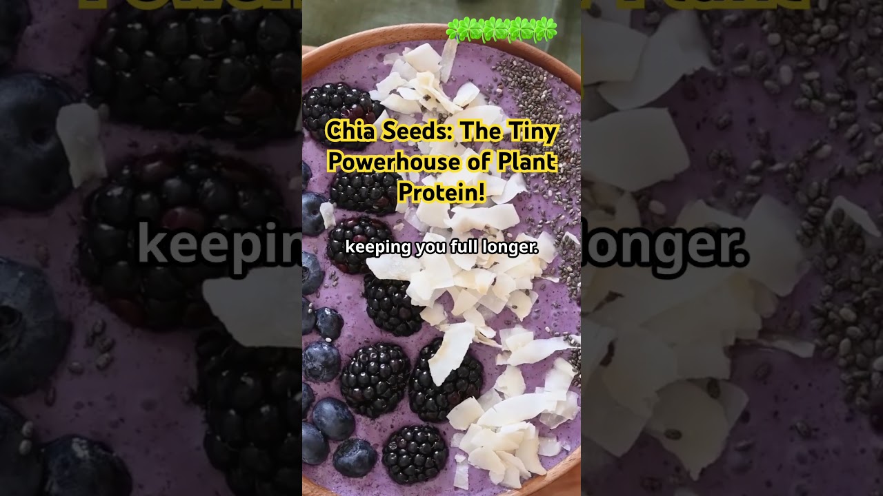 Chia Seeds: The Tiny Powerhouse of Plant Protein! 