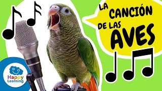 🐦🎶 Bird Song! | Educational Songs for Elementary School Children | @HappyLearningES screenshot 4