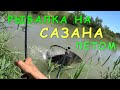 Ловля сазана. Моя рыбалка №1. Июнь 2018 г.