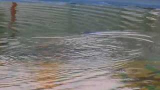 STINGRAY RC Submarine