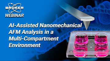 Dissecting inegrin mediated ECM sensing using AFM based single cell force spectroscopy SCF | Bruker