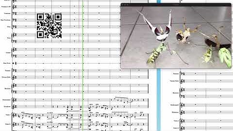 Dorico with BBC Symphony #Mantis