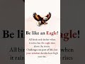 be like an eagle #viralvideo #trendingshorts #subscribemychannel #subscribemychannel