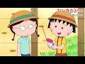 ちびまる子ちゃん 2026/8/23放送 第1544話 「さくら家、怒らないと決めた一日」「呪われたトランシーバー」の巻アニメ予告