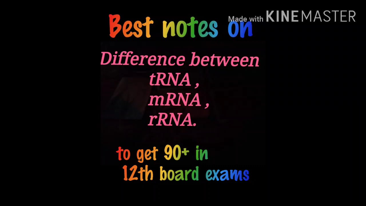 Difference between tRNA mRNA AND rRNA class 12 biology - YouTube